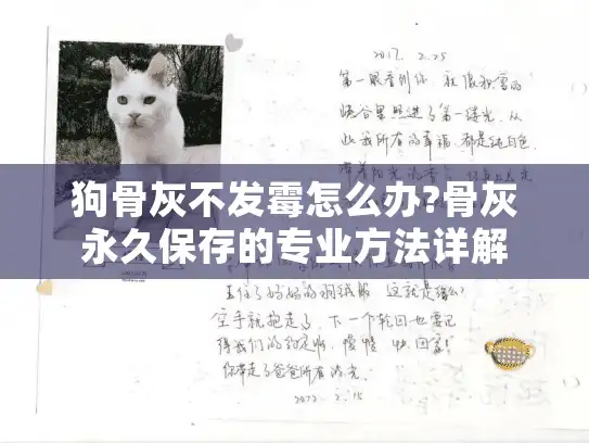 狗骨灰不发霉怎么办?骨灰永久保存的专业方法详解