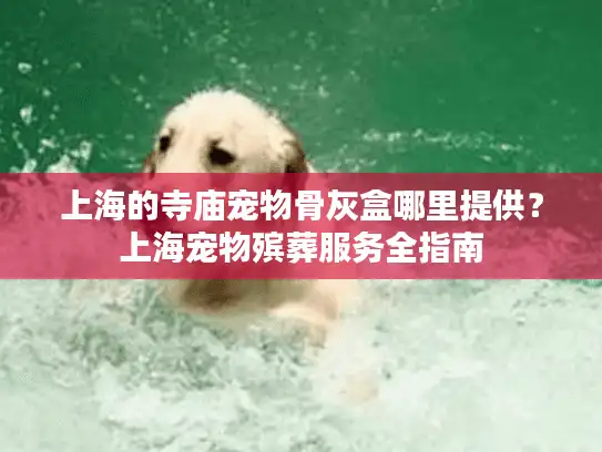 上海的寺庙宠物骨灰盒哪里提供？上海宠物殡葬服务全指南