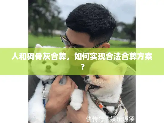 人和狗骨灰合葬，如何实现合法合葬方案？
