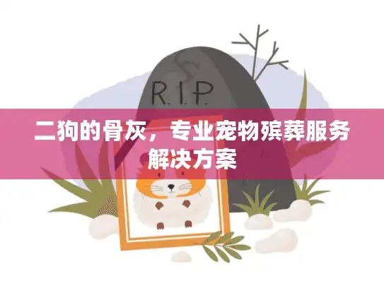 二狗的骨灰，专业宠物殡葬服务解决方案
