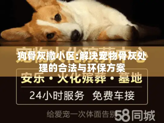 狗骨灰撒小区:解决宠物骨灰处理的合法与环保方案