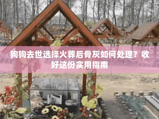 狗狗去世选择火葬后骨灰如何处理？收好这份实用指南