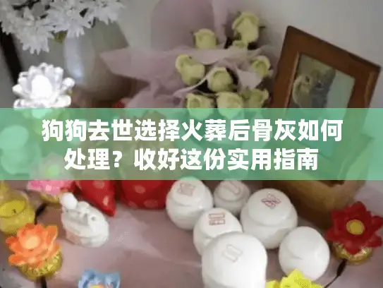 狗狗去世选择火葬后骨灰如何处理？收好这份实用指南