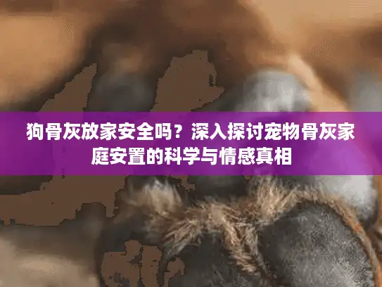 狗骨灰放家安全吗？深入探讨宠物骨灰家庭安置的科学与情感真相