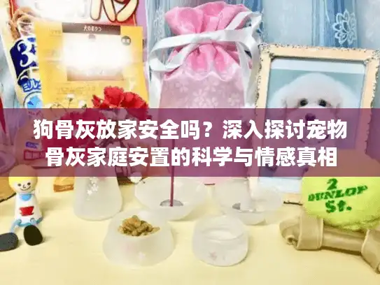 狗骨灰放家安全吗？深入探讨宠物骨灰家庭安置的科学与情感真相