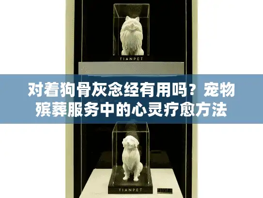 对着狗骨灰念经有用吗？宠物殡葬服务中的心灵疗愈方法