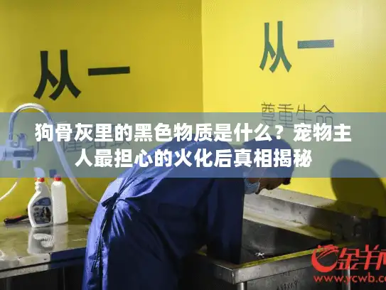 狗骨灰里的黑色物质是什么？宠物主人最担心的火化后真相揭秘
