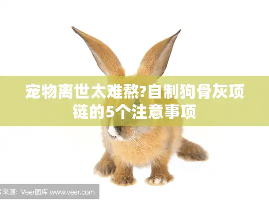 宠物离世太难熬?自制狗骨灰项链的5个注意事项