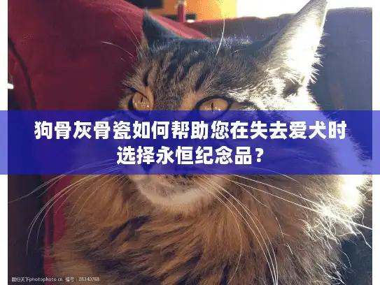 狗骨灰骨瓷如何帮助您在失去爱犬时选择永恒纪念品？
