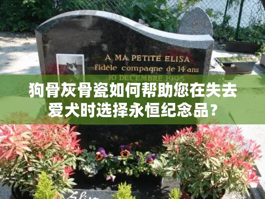 狗骨灰骨瓷如何帮助您在失去爱犬时选择永恒纪念品？