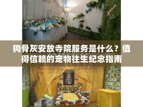 狗骨灰安放寺院服务是什么？值得信赖的宠物往生纪念指南