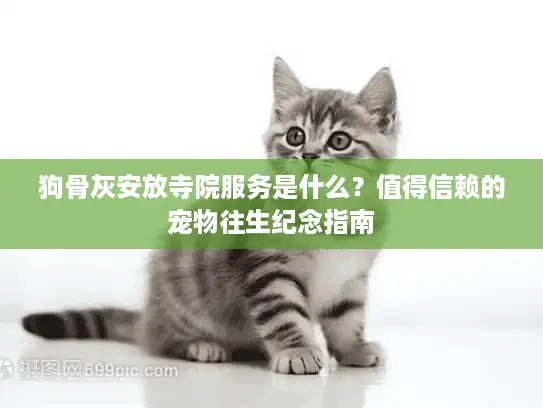 狗骨灰安放寺院服务是什么？值得信赖的宠物往生纪念指南