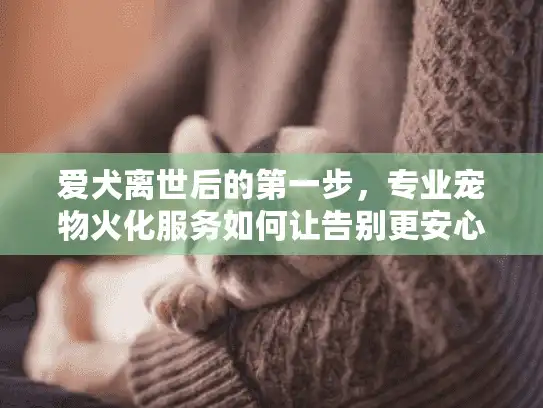 爱犬离世后的第一步，专业宠物火化服务如何让告别更安心？