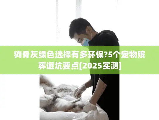 狗骨灰绿色选择有多环保?5个宠物殡葬避坑要点[2025实测]