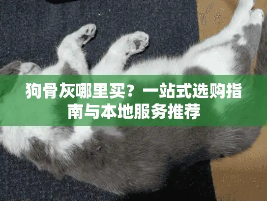 狗骨灰哪里买？一站式选购指南与本地服务推荐