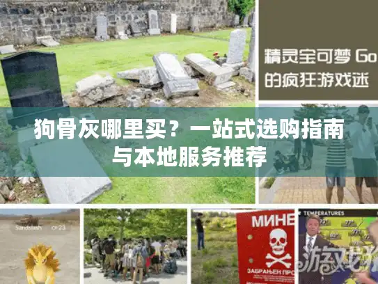 狗骨灰哪里买？一站式选购指南与本地服务推荐