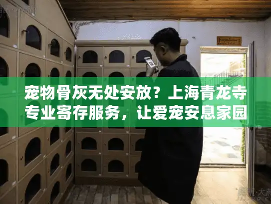 宠物骨灰无处安放？上海青龙寺专业寄存服务，让爱宠安息家园