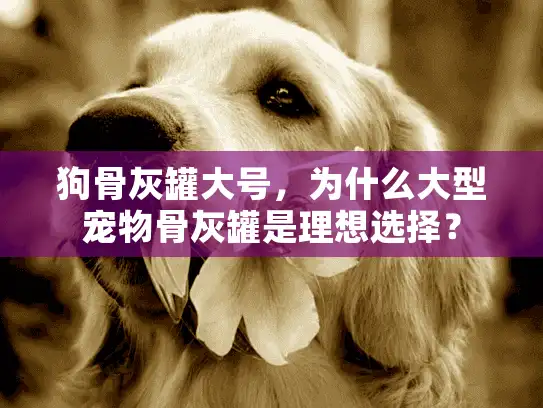 狗骨灰罐大号，为什么大型宠物骨灰罐是理想选择？