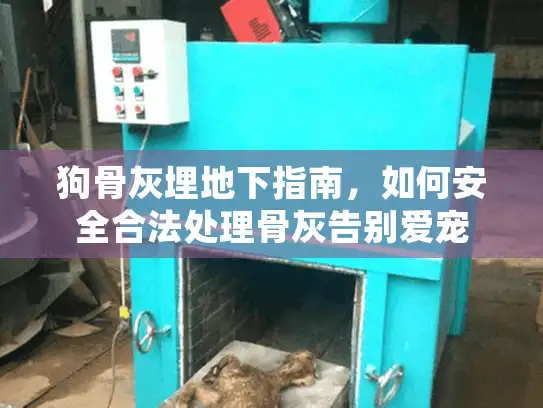 狗骨灰埋地下指南，如何安全合法处理骨灰告别爱宠