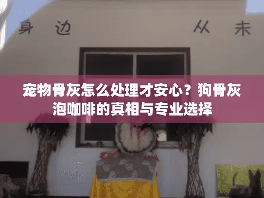 宠物骨灰怎么处理才安心？狗骨灰泡咖啡的真相与专业选择
