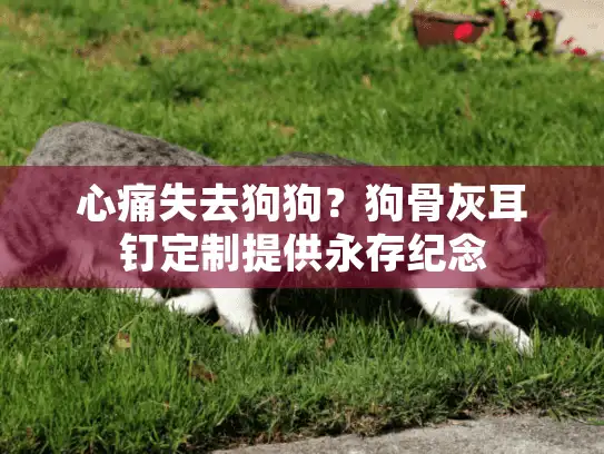 心痛失去狗狗？狗骨灰耳钉定制提供永存纪念