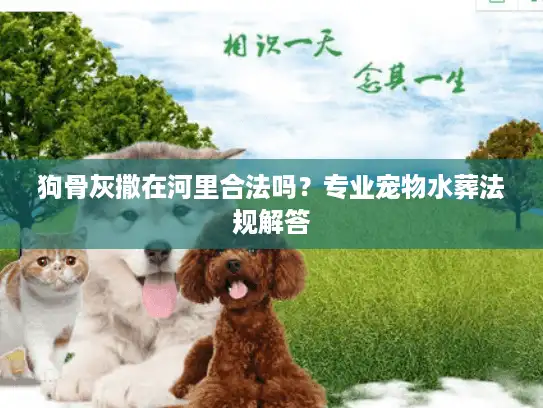 狗骨灰撒在河里合法吗？专业宠物水葬法规解答