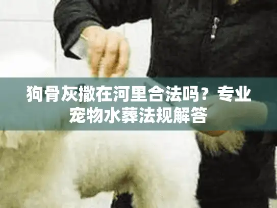 狗骨灰撒在河里合法吗？专业宠物水葬法规解答