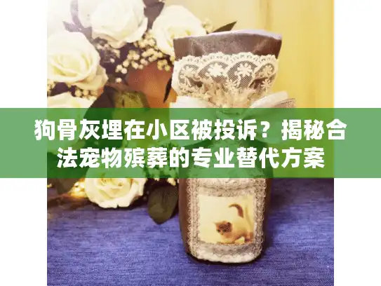 狗骨灰埋在小区被投诉？揭秘合法宠物殡葬的专业替代方案