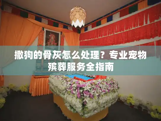 撒狗的骨灰怎么处理？专业宠物殡葬服务全指南
