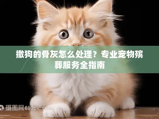 撒狗的骨灰怎么处理？专业宠物殡葬服务全指南