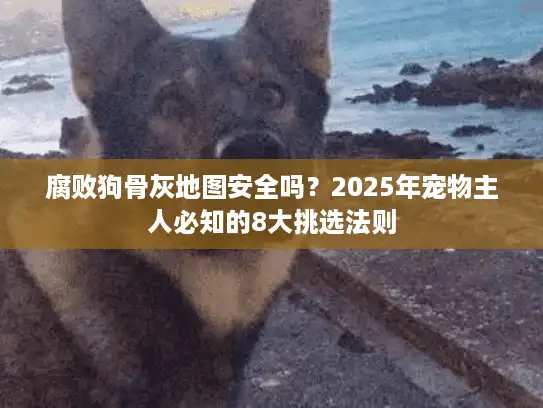 腐败狗骨灰地图安全吗？2025年宠物主人必知的8大挑选法则