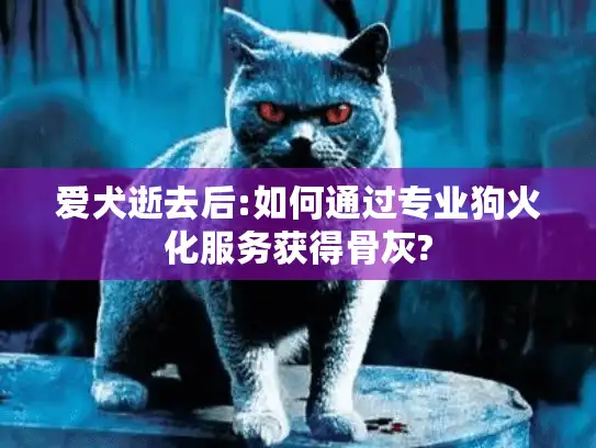 爱犬逝去后:如何通过专业狗火化服务获得骨灰?