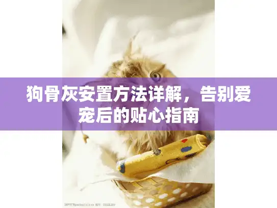 狗骨灰安置方法详解，告别爱宠后的贴心指南