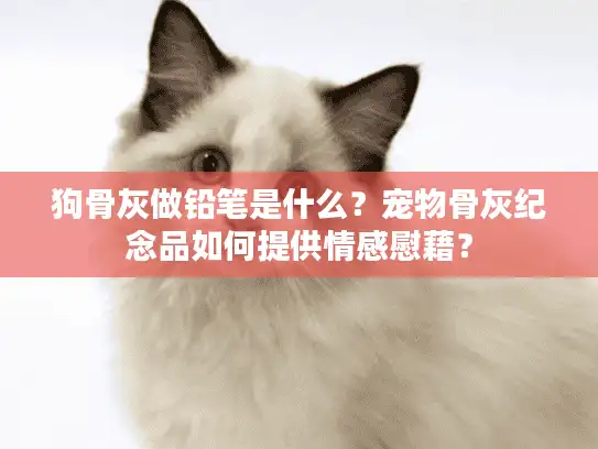狗骨灰做铅笔是什么？宠物骨灰纪念品如何提供情感慰藉？