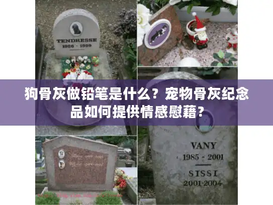 狗骨灰做铅笔是什么？宠物骨灰纪念品如何提供情感慰藉？