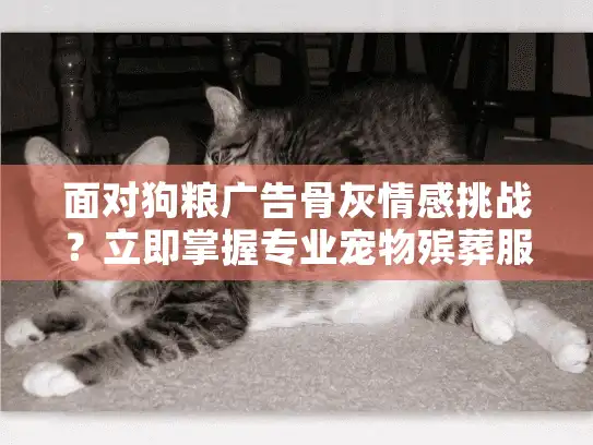 面对狗粮广告骨灰情感挑战？立即掌握专业宠物殡葬服务指南