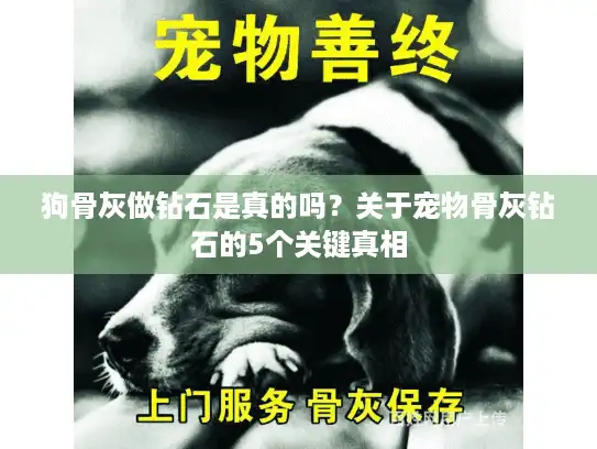狗骨灰做钻石是真的吗？关于宠物骨灰钻石的5个关键真相