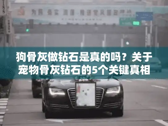 狗骨灰做钻石是真的吗？关于宠物骨灰钻石的5个关键真相