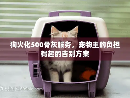 狗火化500骨灰服务，宠物主的负担得起的告别方案