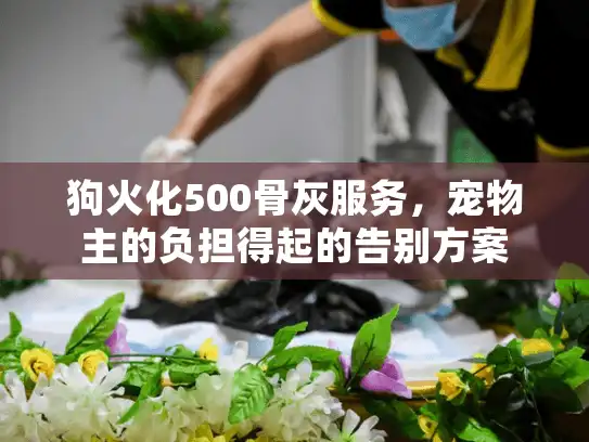 狗火化500骨灰服务，宠物主的负担得起的告别方案