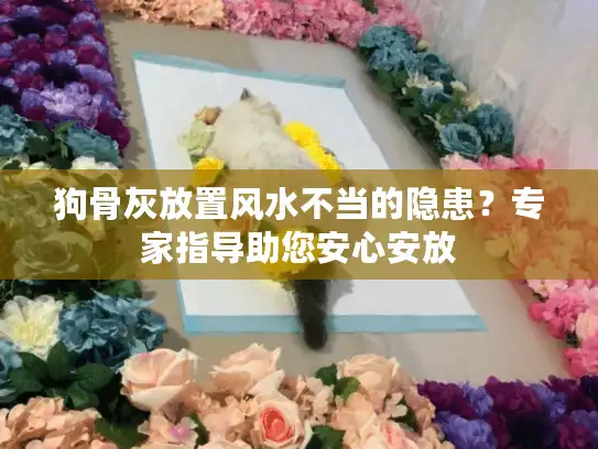 狗骨灰放置风水不当的隐患？专家指导助您安心安放