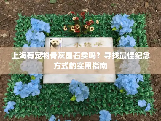 上海有宠物骨灰晶石卖吗？寻找最佳纪念方式的实用指南