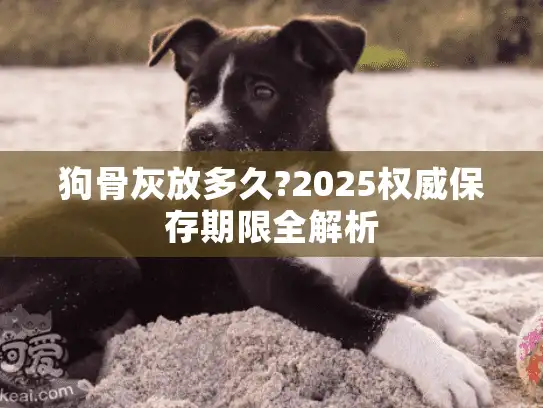 狗骨灰放多久?2025权威保存期限全解析