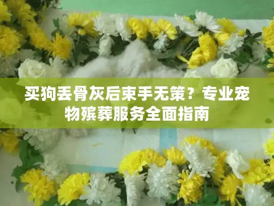 买狗丢骨灰后束手无策？专业宠物殡葬服务全面指南