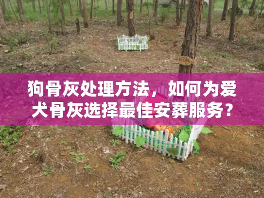 狗骨灰处理方法，如何为爱犬骨灰选择最佳安葬服务？
