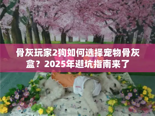 骨灰玩家2狗如何选择宠物骨灰盒？2025年避坑指南来了