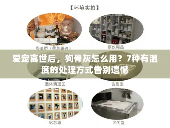 爱宠离世后，狗骨灰怎么用？7种有温度的处理方式告别遗憾