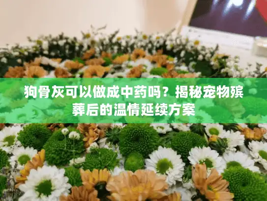 狗骨灰可以做成中药吗？揭秘宠物殡葬后的温情延续方案