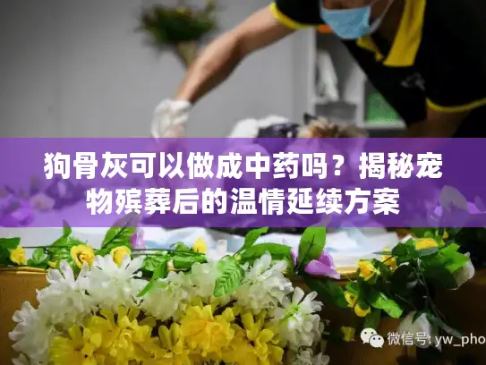 狗骨灰可以做成中药吗？揭秘宠物殡葬后的温情延续方案