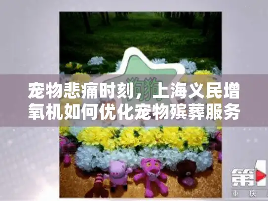 宠物悲痛时刻，上海义民增氧机如何优化宠物殡葬服务？